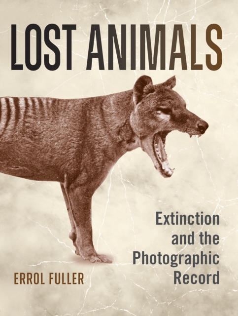 Lost Animals : Extinction and the Photographic Record, Paperback / softback Book