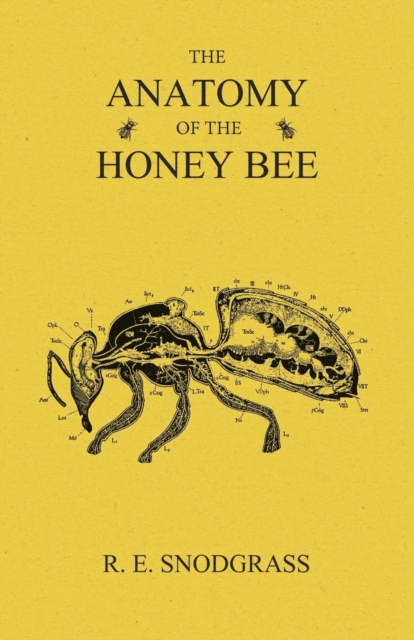 The Anatomy of the Honey Bee, EPUB eBook