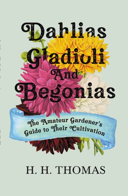 Dahlias, Gladioli and Begonias : The Amateur Gardener's Guide to Their Cultivation, EPUB eBook