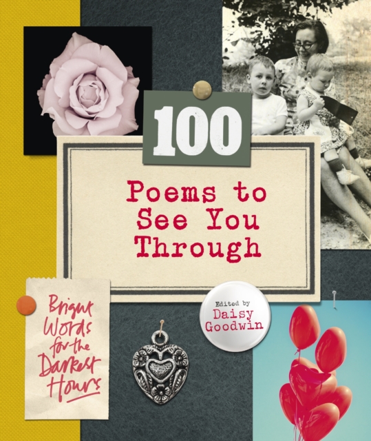 100 Poems To See You Through, EPUB eBook