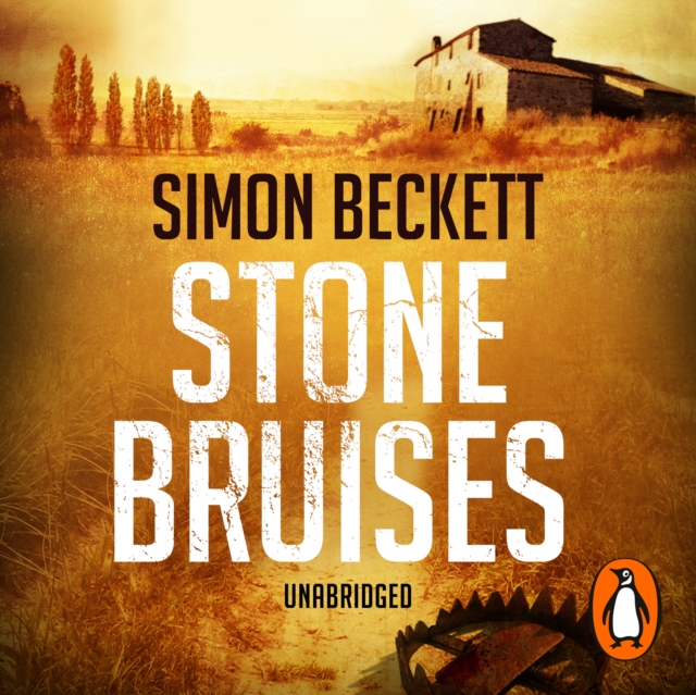 Stone Bruises, eAudiobook MP3 eaudioBook