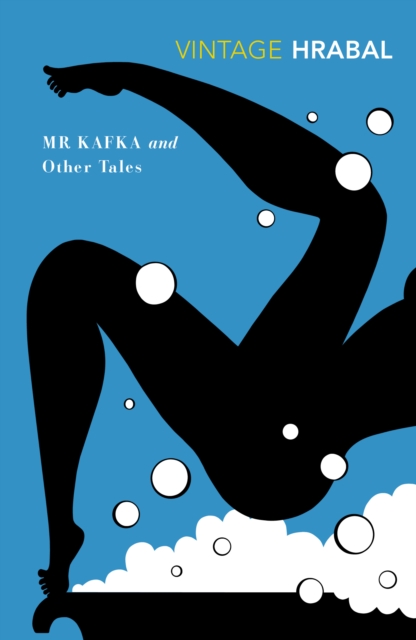 Mr Kafka, EPUB eBook