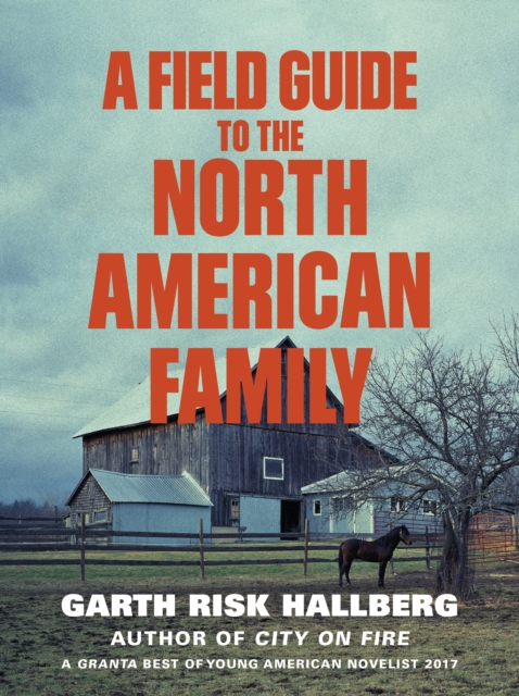 A Field Guide to the North American Family, EPUB eBook