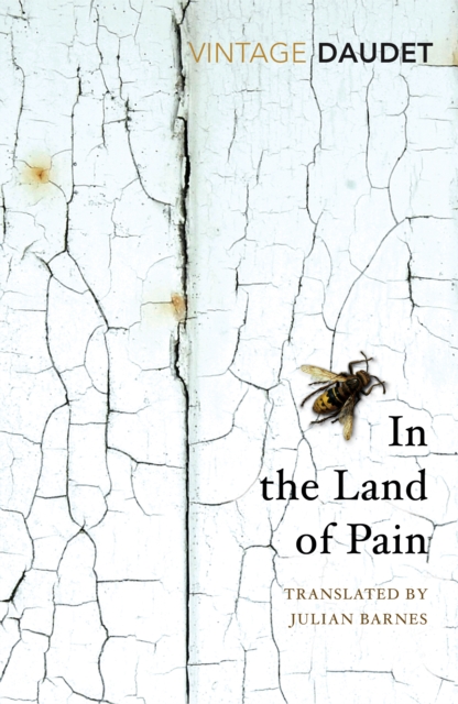 In the Land of Pain, EPUB eBook