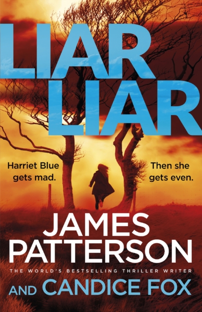 Liar Liar : (Harriet Blue 3), EPUB eBook