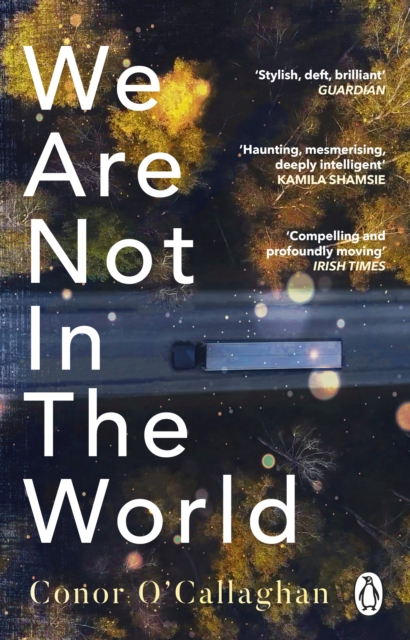 We Are Not in the World :  compelling and profoundly moving  Irish Times, EPUB eBook