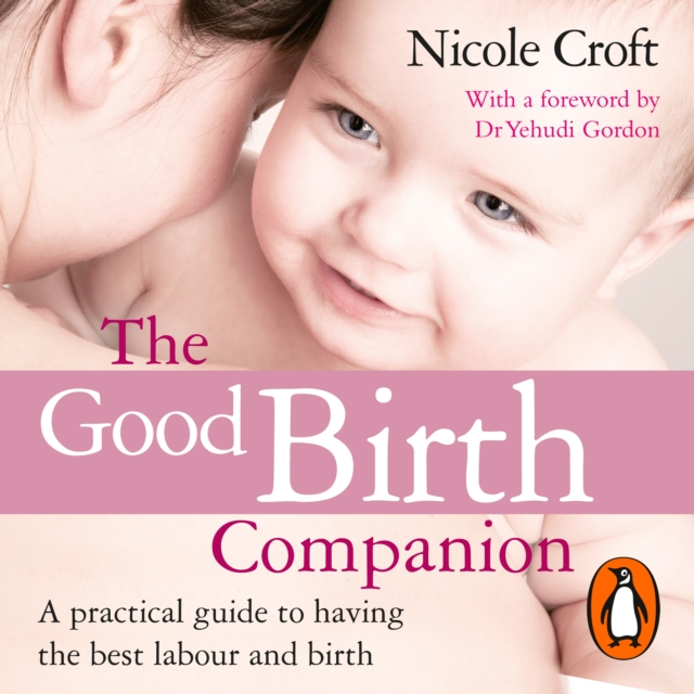 The Good Birth Companion : A Practical Guide to Having the Best Labour and Birth, eAudiobook MP3 eaudioBook