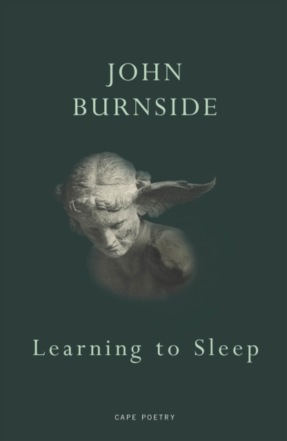 Learning to Sleep, EPUB eBook