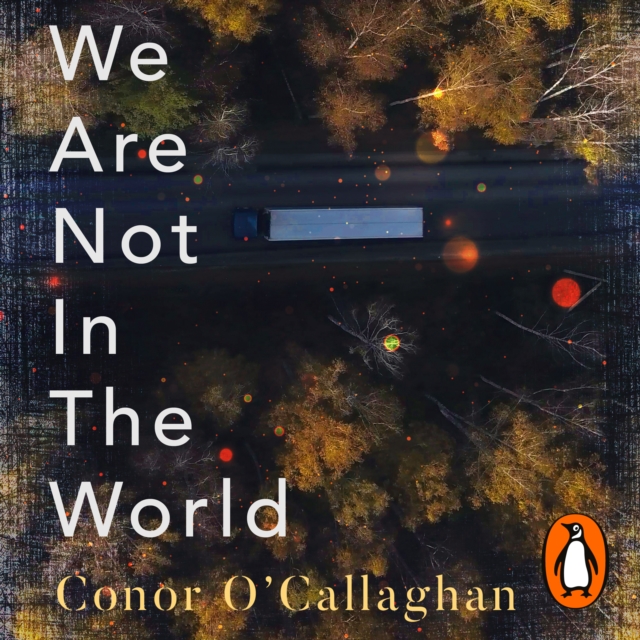 We Are Not in the World : 'compelling and profoundly moving' Irish Times, eAudiobook MP3 eaudioBook