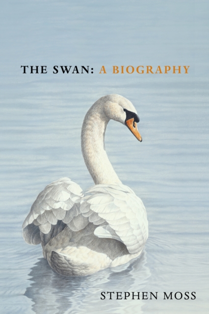 The Swan : A Biography, EPUB eBook