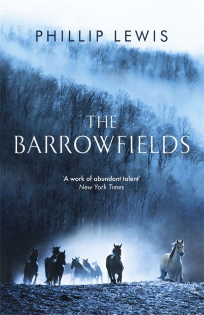 The Barrowfields, Paperback / softback Book