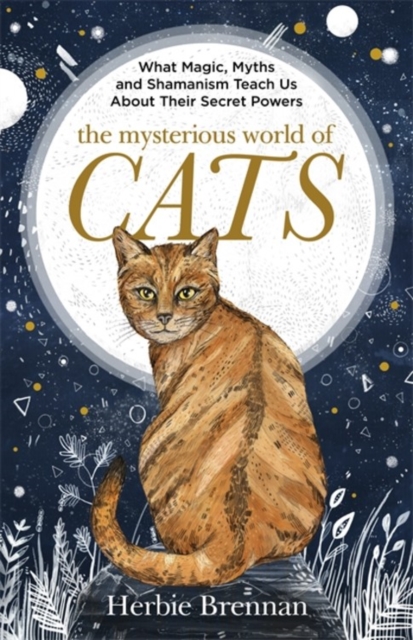 The Mysterious World of Cats : The Ultimate Gift Book for People Who are Bonkers About Their Cat, Hardback Book