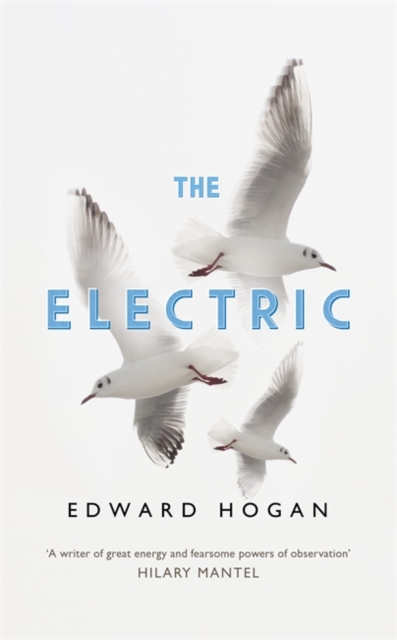 The Electric, Hardback Book