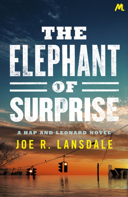 The Elephant of Surprise, EPUB eBook