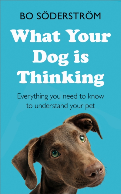 What Your Dog Is Thinking : Everything you need to know to understand your pet, Paperback / softback Book