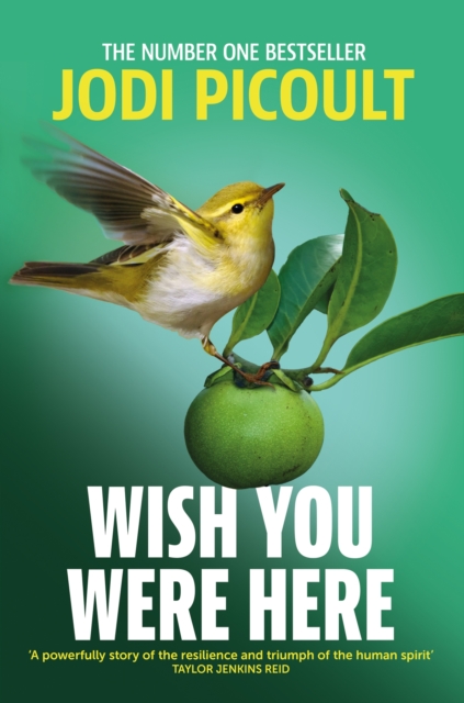 Wish You Were Here : a completely gripping, unputdownable novel from bestselling author of Mad Honey, EPUB eBook