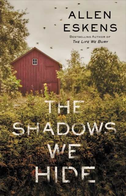 The Shadows We Hide, Paperback / softback Book