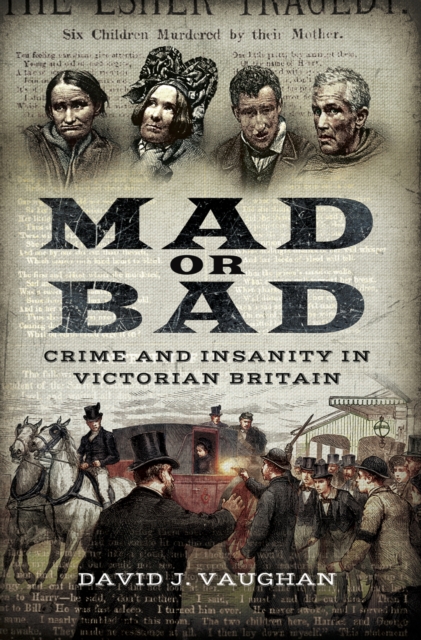 Mad or Bad : Crime and Insanity in Victorian Britain, EPUB eBook