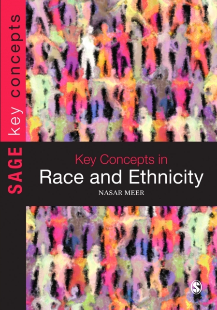 Key Concepts in Race and Ethnicity, EPUB eBook