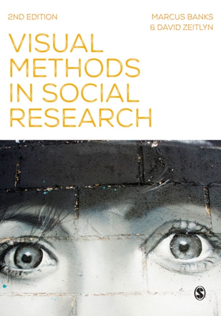 Visual Methods in Social Research, EPUB eBook