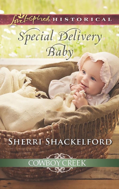 Special Delivery Baby, EPUB eBook