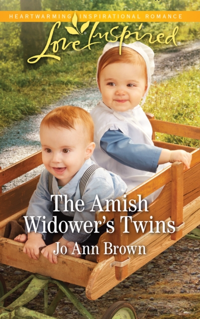 The Amish Widower's Twins, EPUB eBook