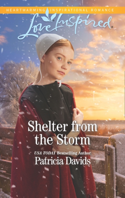 Shelter From The Storm, EPUB eBook