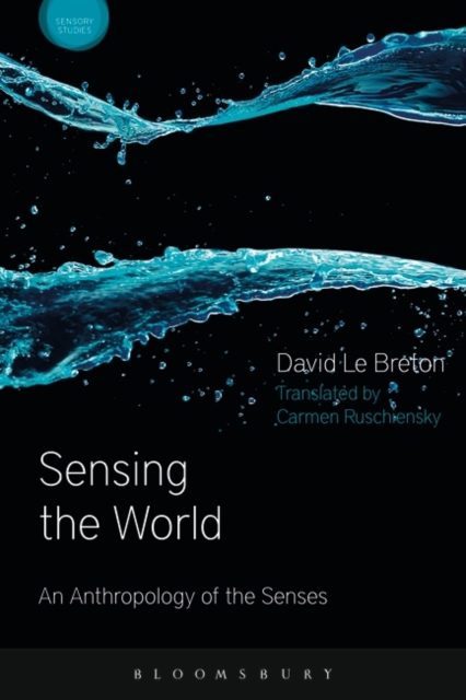 Sensing the World : An Anthropology of the Senses, Paperback / softback Book