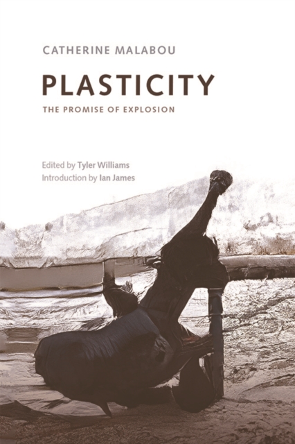Plasticity : The Promise of Explosion, Paperback / softback Book
