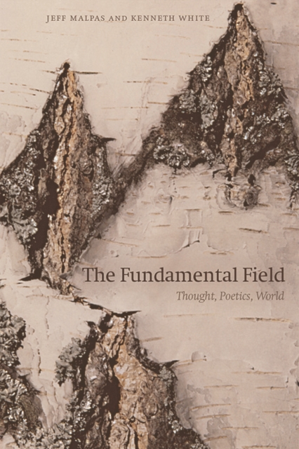 The Fundamental Field : Thought, Poetics, World, Paperback / softback Book