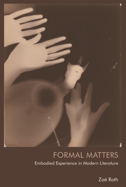 Formal Matters : Embodied Experience in Modern Literature, PDF eBook
