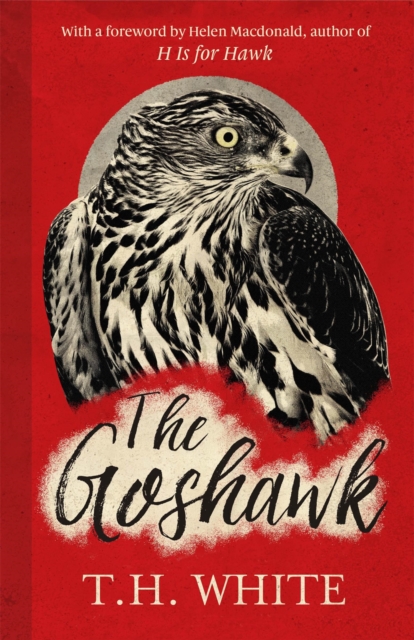 The Goshawk : With a foreword by Helen Macdonald, Hardback Book