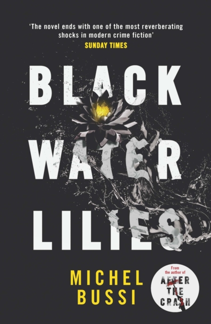 Black Water Lilies : 'A dazzling, unexpected and haunting masterpiece' Daily Mail, EPUB eBook