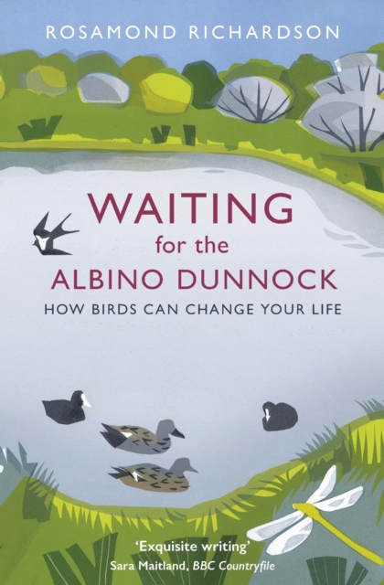 Waiting for the Albino Dunnock : How birds can change your life, EPUB eBook