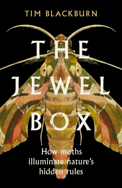 The Jewel Box : How Moths Illuminate Nature’s Hidden Rules, Hardback Book