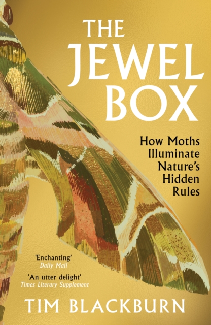 The Jewel Box : How Moths Illuminate Nature’s Hidden Rules, Paperback / softback Book