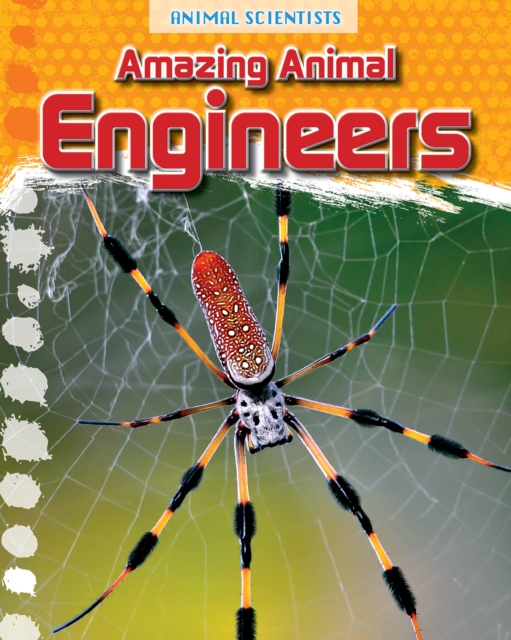 Amazing Animal Engineers, Hardback Book