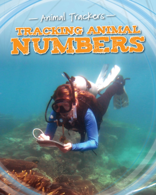 Tracking Animal Numbers, Paperback / softback Book