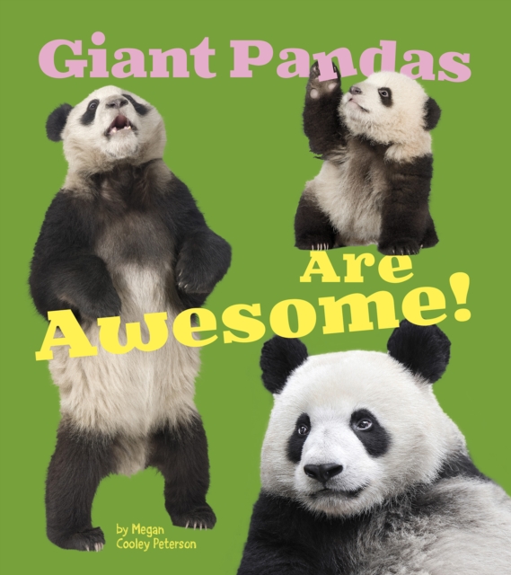 Giant Pandas are Awesome!, Hardback Book