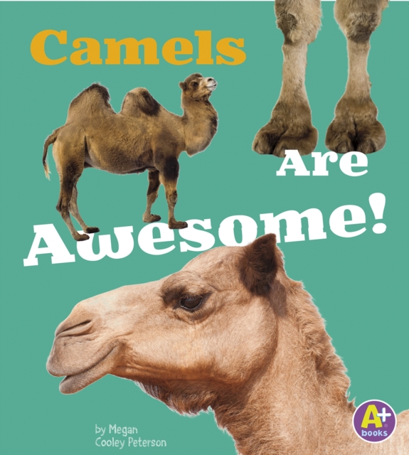 Camels Are Awesome!, PDF eBook