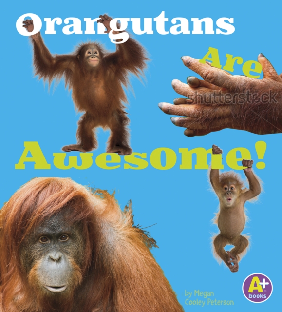 Orangutans Are Awesome!, PDF eBook