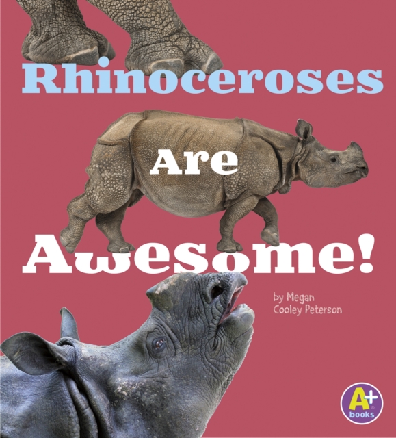 Rhinoceroses Are Awesome!, PDF eBook