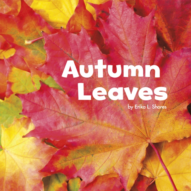 Autumn Leaves, Hardback Book