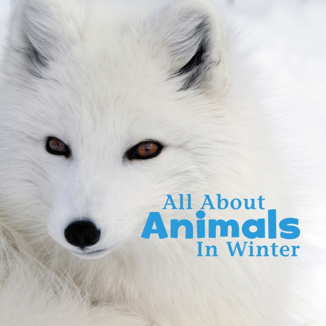 All About Animals in Winter, Hardback Book