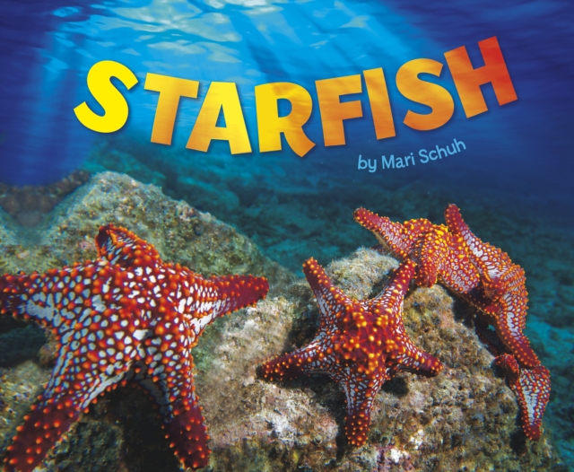 Starfish, Hardback Book