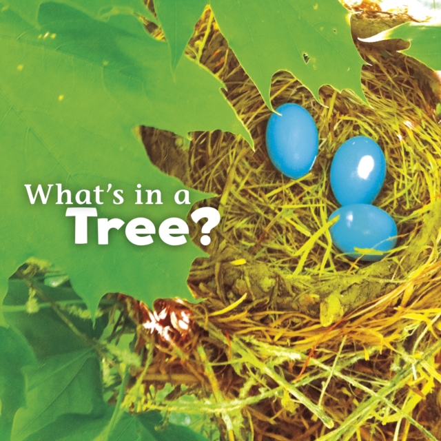 What's in a Tree?, Hardback Book