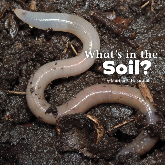 What's in the Soil?, Hardback Book