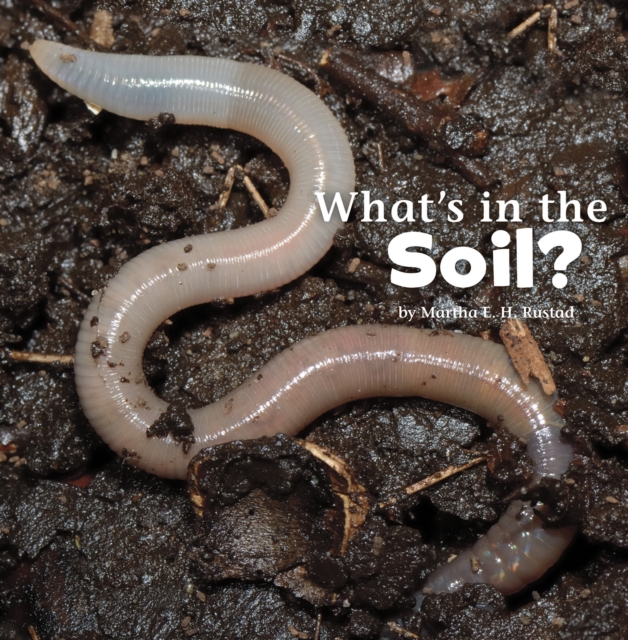 What's in the Soil?, Paperback / softback Book