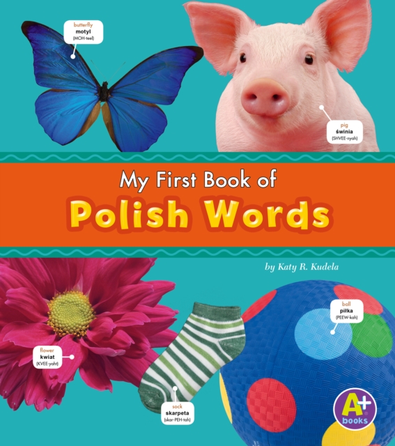 Polish Words, Hardback Book