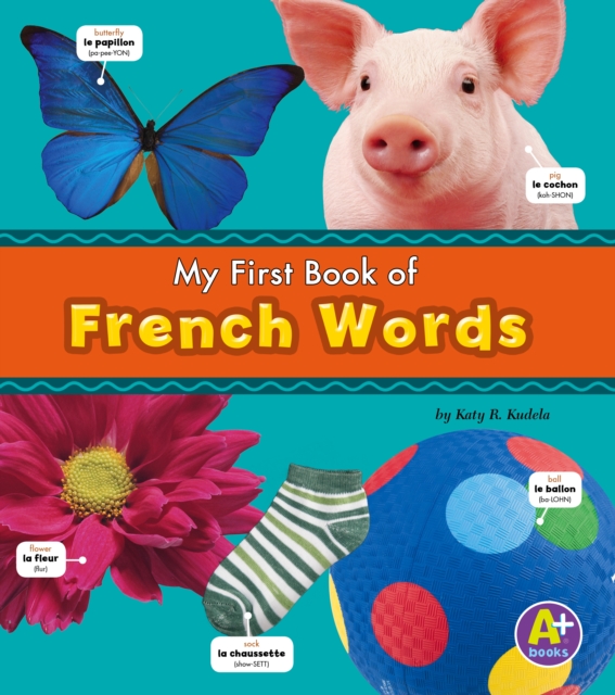 French Words, Paperback / softback Book